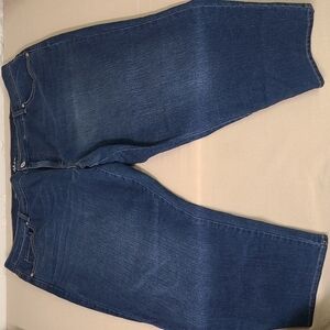 STYLE&COMPANY Jeans Size 24W Short